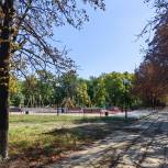 Липчане преобразят парк в подшефном Володарском районе ДНР