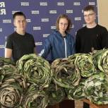 Проект-партнёр ЦПГИ «Маскировка Мурманск для СВОих» продолжает снабжать бойцов маскировочными изделиями