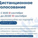 В Тульской области на 12 часов дистанционно проголосовали 3,5 тысячи избирателей