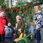 «Единая Россия» организовала в Омске праздник для садоводов