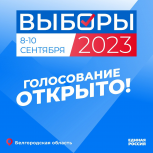 В Белгородской области стартовали трёхдневные выборы