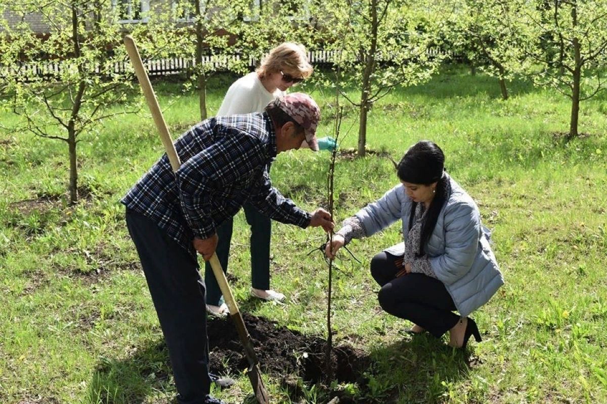Тамбовчане присылают заявки на участие в конкурсе «Лучший дом. Лучший двор»