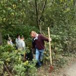 Сторонники «Единой России» провели экологическую акцию «Чистый лес» в Приморском районе