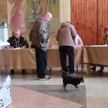 В Рязанском районе явка избирателей на 15.00 составила 33,02%