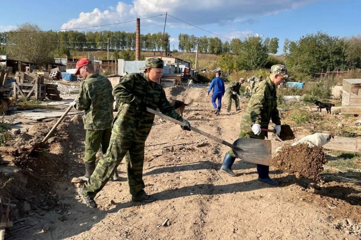 Трудовой десант «высадился» в крупнейшем в Татарстане приюте для бездомных  животных «Кот и Пес»