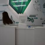 «Единая Россия» открыла федеральный и региональные ситуационные центры по наблюдению за выборами