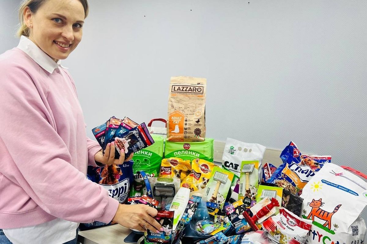 Мурманские единороссы передали корма и игрушки в зооприют