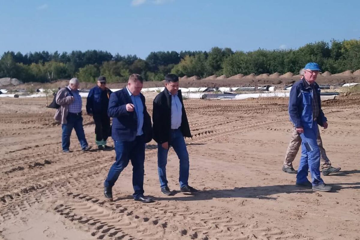 На бывшей городской свалке в Богородске началась укладка плодородного слоя  грунта