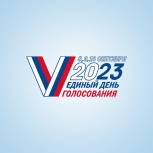 В Амурской области второй день выборов подошел к концу