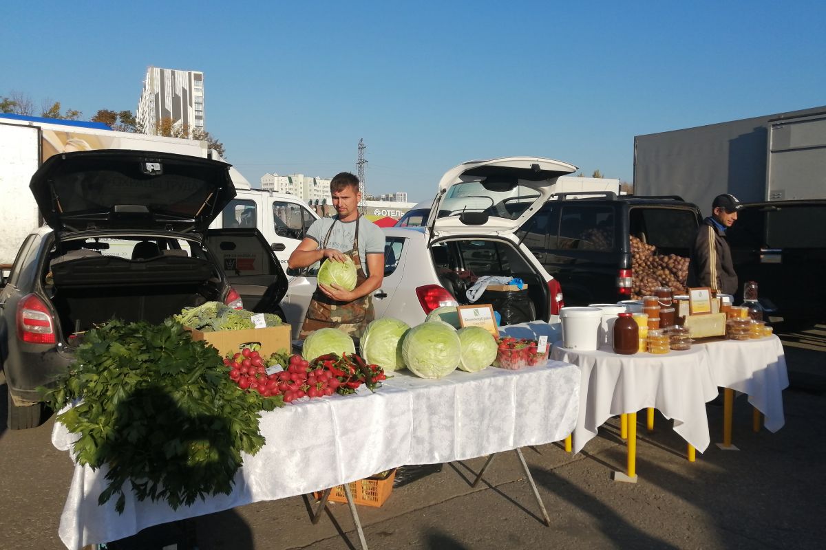 В рамках партийного проекта «Российское село» состоялась ярмарка – презентация продукций сельских товаропроизводителей и частных домовладений