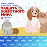 «Единая Россия» запустила акцию «Лучший друг»