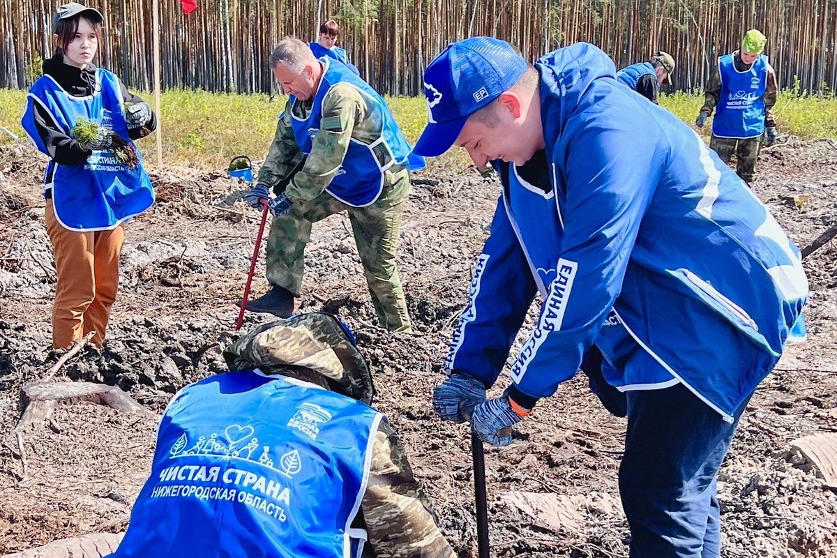 В Нижегородской области стартовала ежегодная всероссийская акция «Сохраним лес»