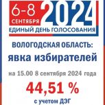 Более 78 тысяч вологжан приняли участие в выборах в системе дистанционного электронного голосования