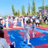 В Нижнем Новгороде «Единая Россия» провела спортивно-патриотический фестиваль единоборств