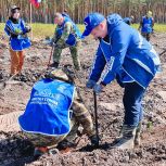 В Нижегородской области стартовала ежегодная всероссийская акция «Сохраним лес»