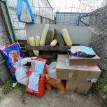 Активисты региона и сторонники партии посетили приют для животных