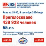 Более 55 % жителей области проголосовали на выборах главы региона