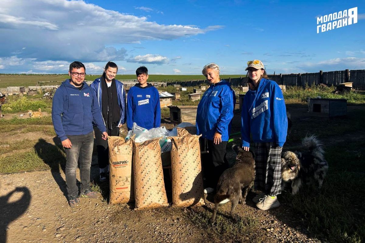 «Единая Россия» поддержала приюты для бездомных животных в регионах