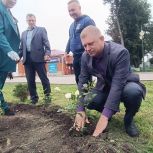 В Понырях высадили 80 кустов роз в память о победе во Второй мировой войне