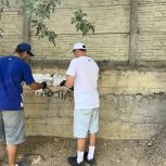 В Балаклаве сторонники партии провели акцию против наркотиков