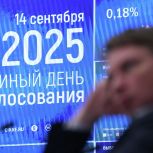 Избирательная комиссия озвучила предварительные результаты муниципальных выборов в Чеченской Республике