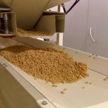 Егор Васильев побывал на курагинском комбикормово-крупяном комплексе