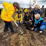 Ямальцы приняли участие во Всероссийской экологической акции «Сад Памяти»