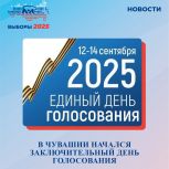 Стартовал заключительный день голосования