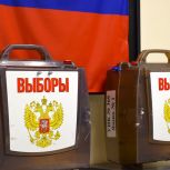 В Киржачском округе завершилось досрочное голосование