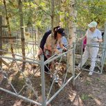 Партийцы Нефтеюганска благоустроили места захоронений ветеранов Великой Отечественной войны