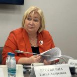 Задачи поддержки семей участников СВО рассмотрели в ходе заседания Комитета по защите семьи, вопросам отцовства, материнства и детства