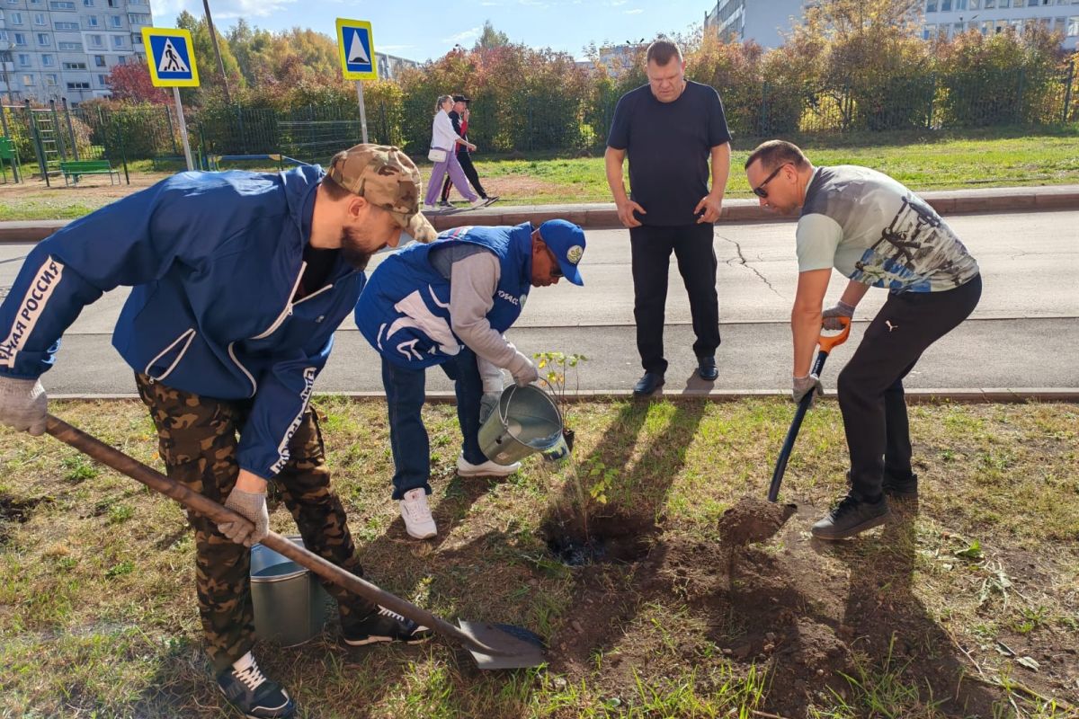 В Кемерове единороссы высадили деревья и кустарники