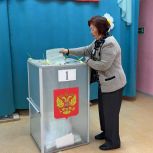 Выборы муниципальных депутатов стартовали в Амурской области
