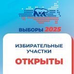 В Оренбуржье начался первый день голосования