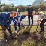 В Кемерове единороссы высадили деревья и кустарники