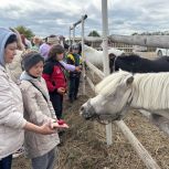 В Саранске «Единая Россия» организовала экскурсию в конный клуб для семей участников СВО