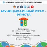 В Элисте пройдет муниципальный этап фестиваля детского дворового волейбола