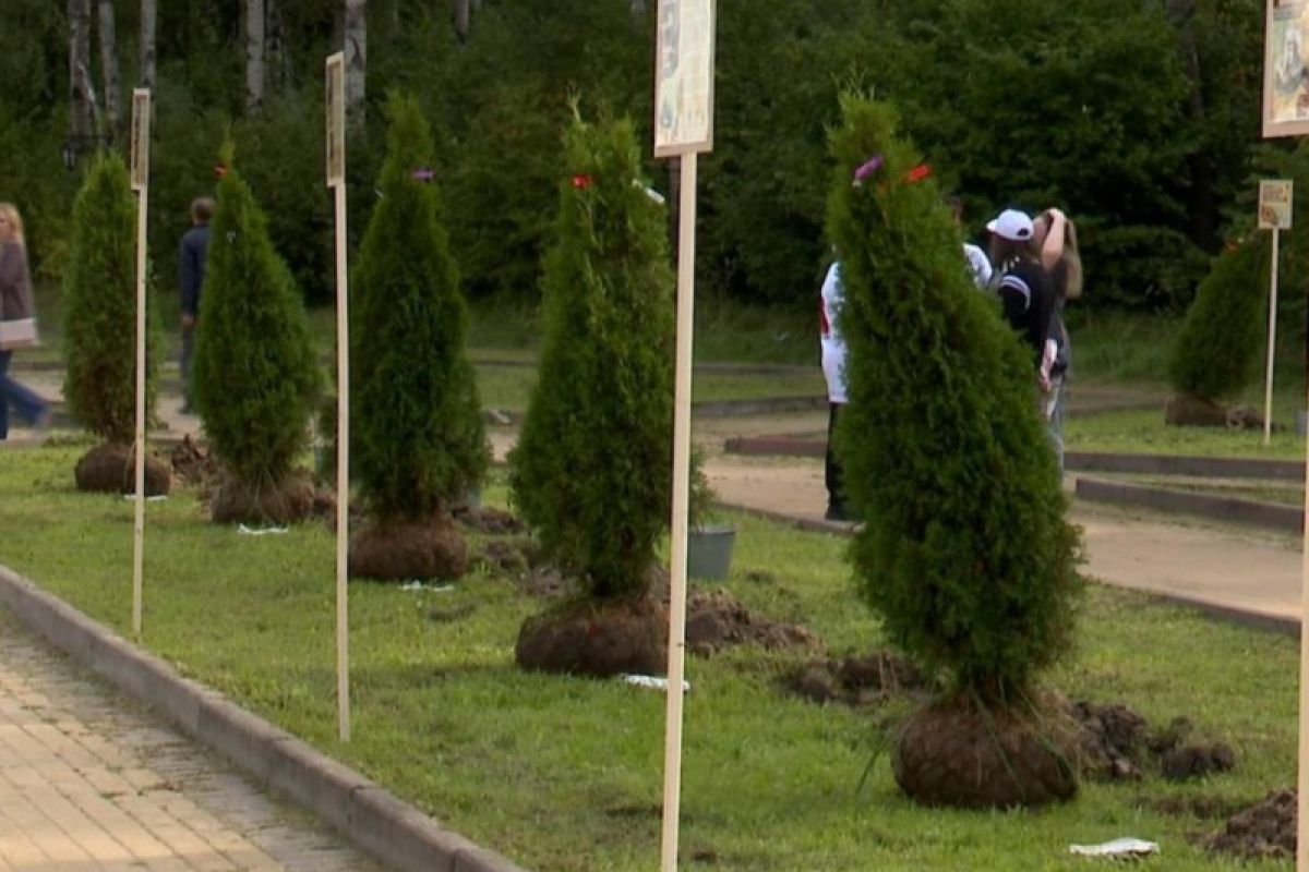 Около Губернского парка на Правом берегу в Калуге заложили Аллею Памяти