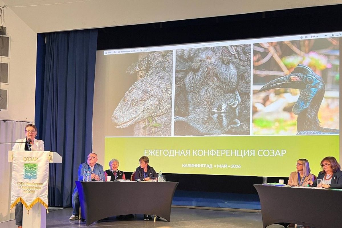 Координатор партпроекта Сергей Писарев избран в состав президиума Союза зоопарков и аквариумов России