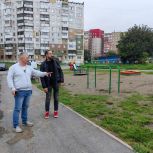 Единороссы высадят деревья и кустарники в кемеровских дворах