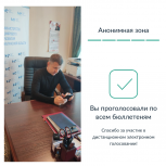 Заместитель губернатора Дмитрий Разумовский проголосовал дистанционно