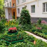 В Чертанове Южном наградили победителей конкурса «Лучший палисадник»