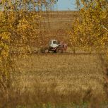 В октябре состоится первый Всероссийский агродиктант