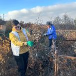 «Единая Россия» и МГЕР провели субботник в рамках партпроекта «Историческая память»