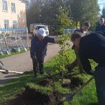 Активисты «Единой России» высадили липы в Туймазинском районе Башкортостана