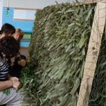 Активистки «Женского движения Единой России» плетут маскировочные сети