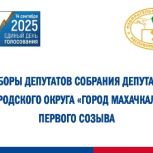 О предварительных итогах голосования на выборах депутатов Собрания депутатов городского округа «город Махачкала» первого созыва