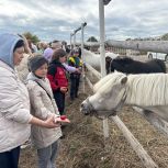 "Женское движение ЕР": Семьи защитников посетили конный клуб