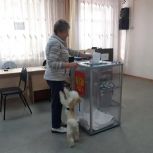 Многодетная мама: отдала свой голос за процветание Озинского района