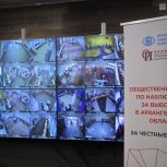 Голосование на выборах губернатора Архангельской области проходит в штатном режиме